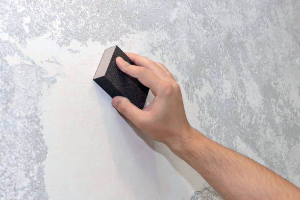 Best Residential Mold Inspection & Testing  in Nederland, CO