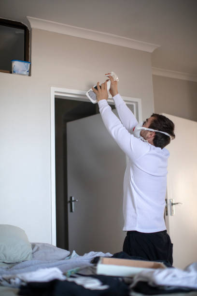 Best Asbestos and Lead Testing During Mold Inspection  in Nederland, CO