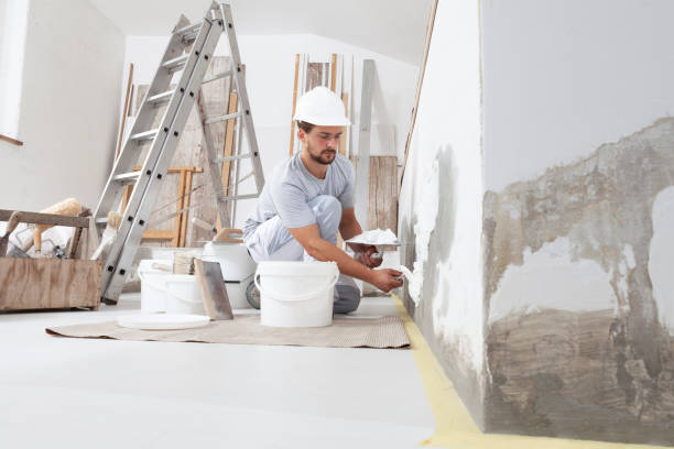 Best Comprehensive Air Testing for Mold Contaminants  in Nederland, CO