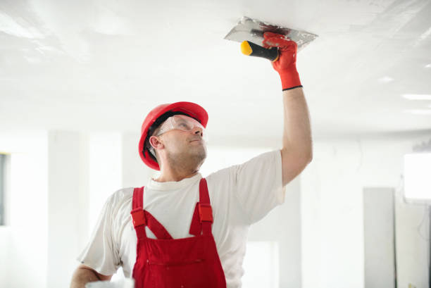 Best Basement Mold Removal  in Nederland, CO