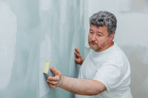 Best Environmental Consulting for Mold Prevention  in Nederland, CO