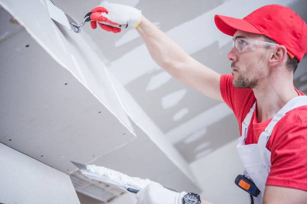 Best Real Estate Mold Inspection  in Nederland, CO